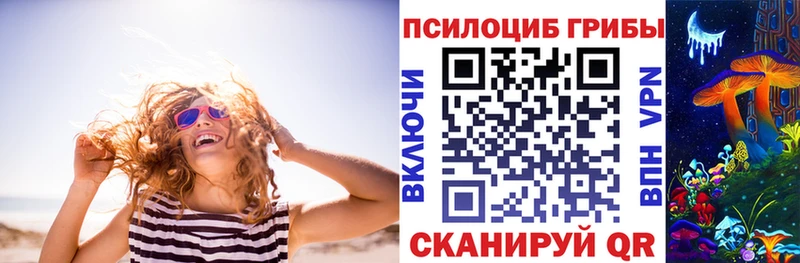 Псилоцибиновые грибы прущие грибы  где найти   Саранск 