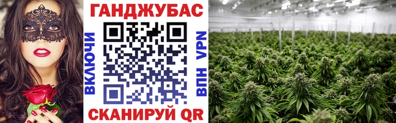 Бошки марихуана White Widow наркошоп Саранск
